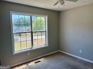 234 Jamie Court Winder GA 30680