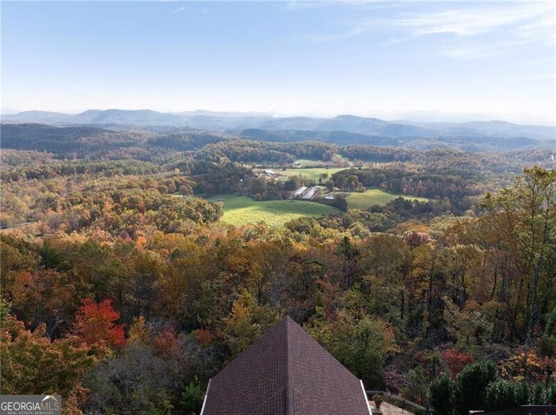 38 Jackies Bluff Road Mineral Bluff GA 30559