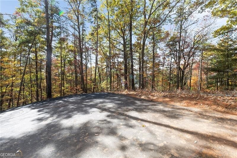 38 Jackies Bluff Road Mineral Bluff GA 30559