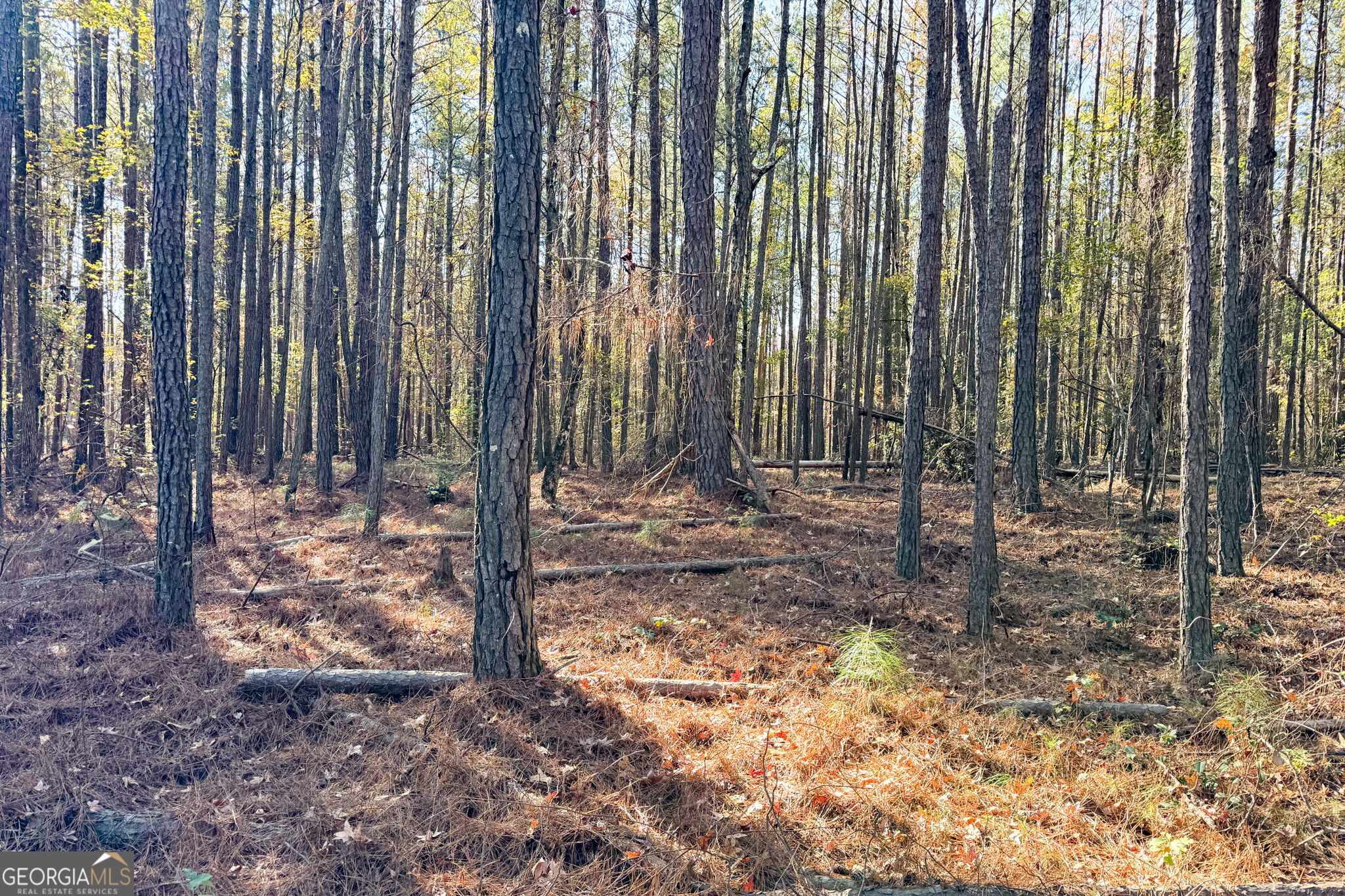 0 Crawford Road Barnesville GA 30204