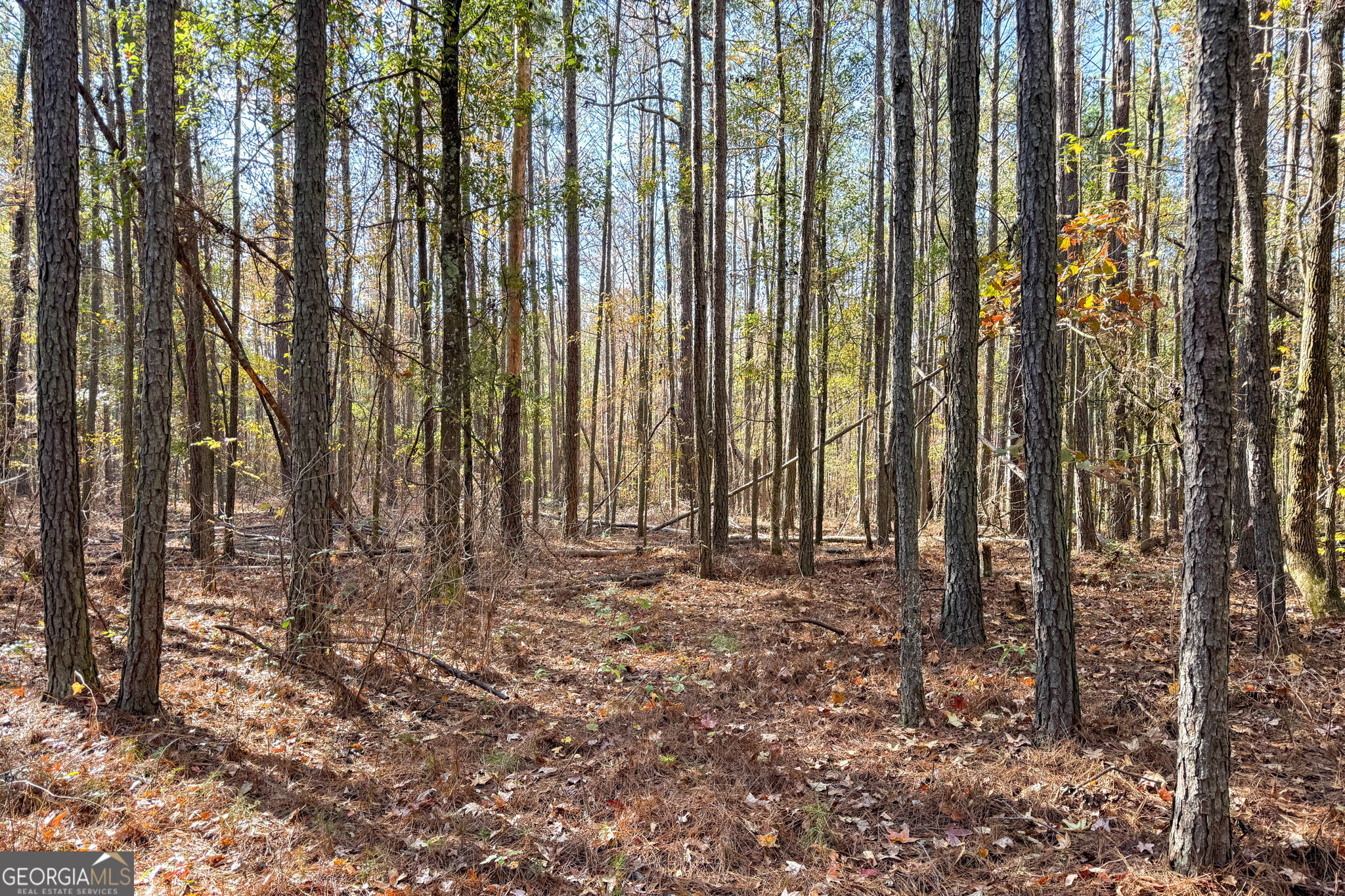 0 Crawford Road Barnesville GA 30204