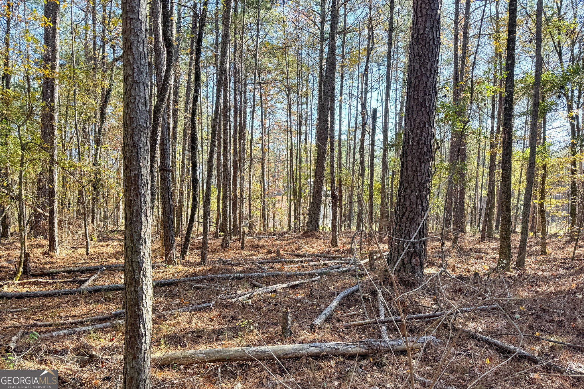 0 Crawford Road Barnesville GA 30204