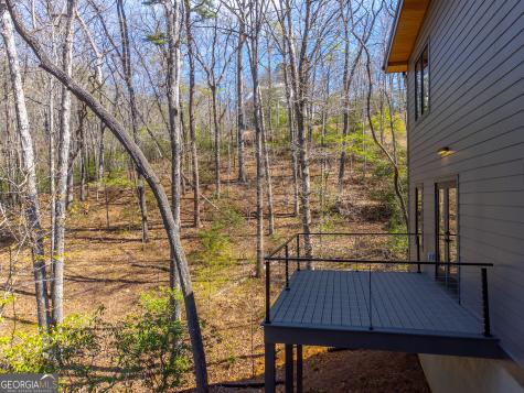 205 Turtle Cove Clayton GA 30525