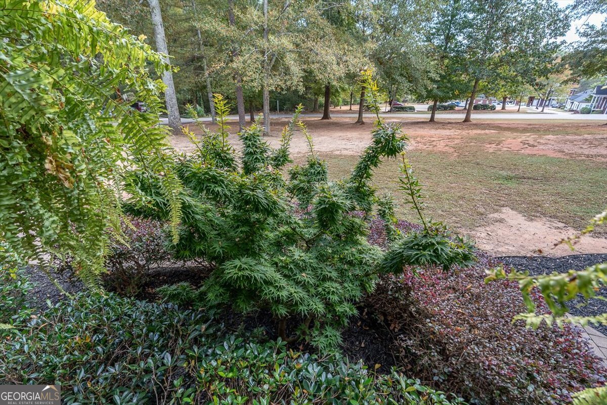 1091 Barber Creek Drive Watkinsville GA 30677