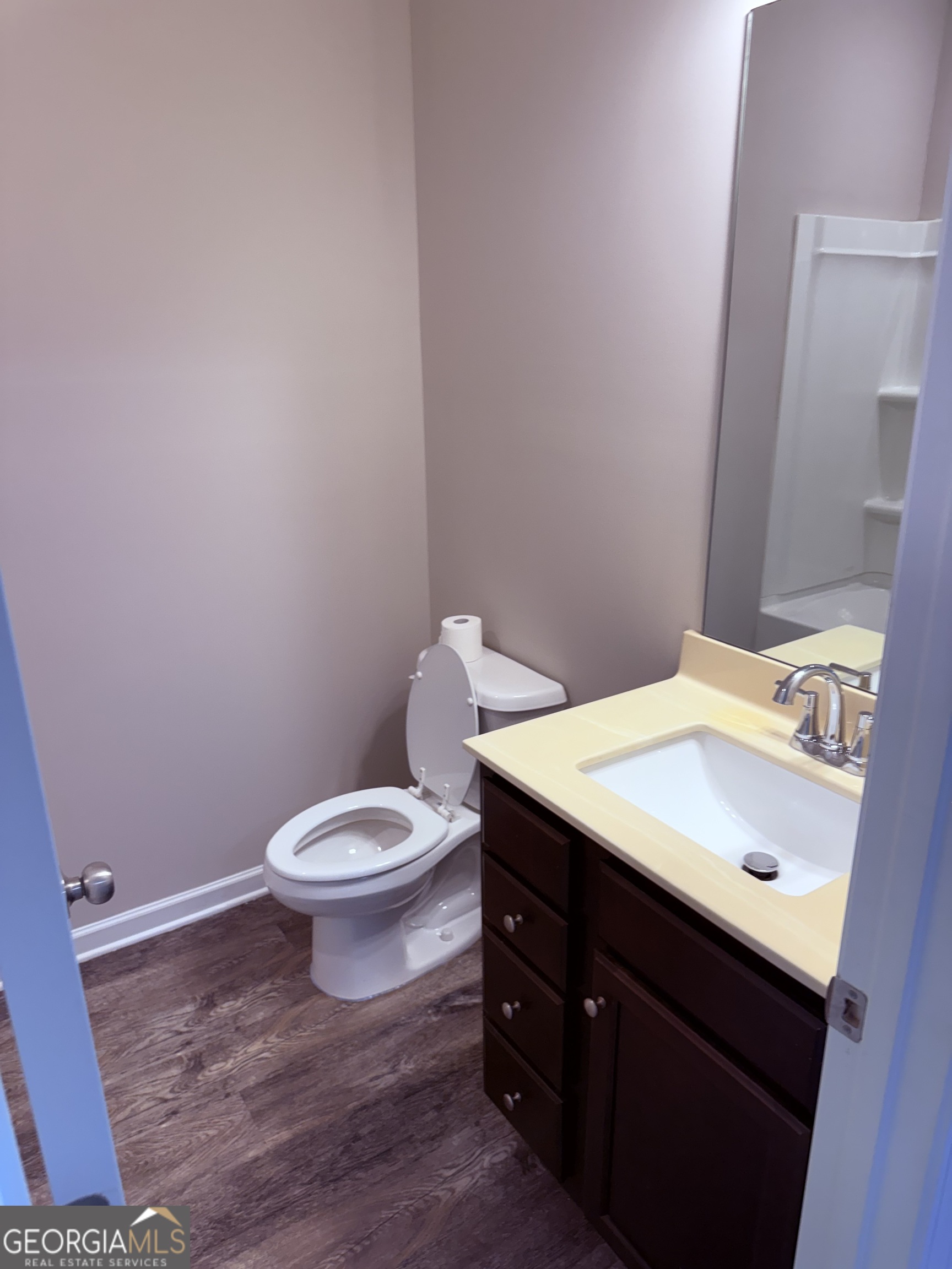 254 Hamilton Pointe Drive Mcdonough GA 30253
