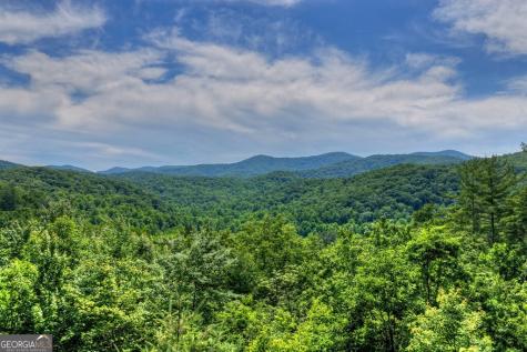 277 Hickory Nut Trail Cherry Log GA 30522