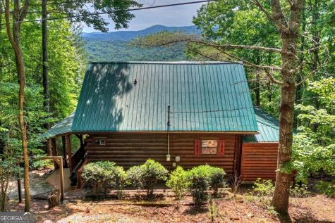 277 Hickory Nut Trail Cherry Log GA 30522