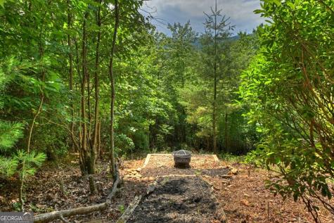 277 Hickory Nut Trail Cherry Log GA 30522