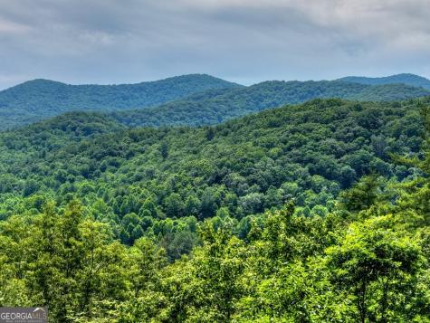 277 Hickory Nut Trail Cherry Log GA 30522