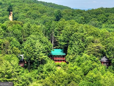 277 Hickory Nut Trail Cherry Log GA 30522