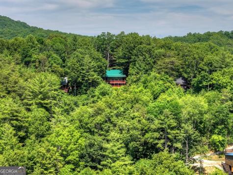277 Hickory Nut Trail Cherry Log GA 30522