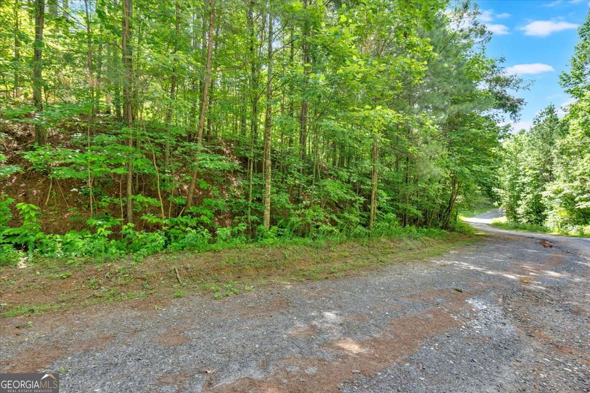 196 Whitestone Drive Talking Rock GA 30175