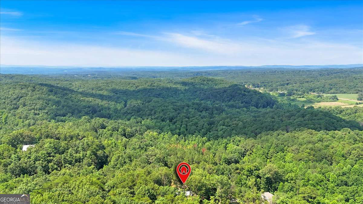 196 Whitestone Drive Talking Rock GA 30175