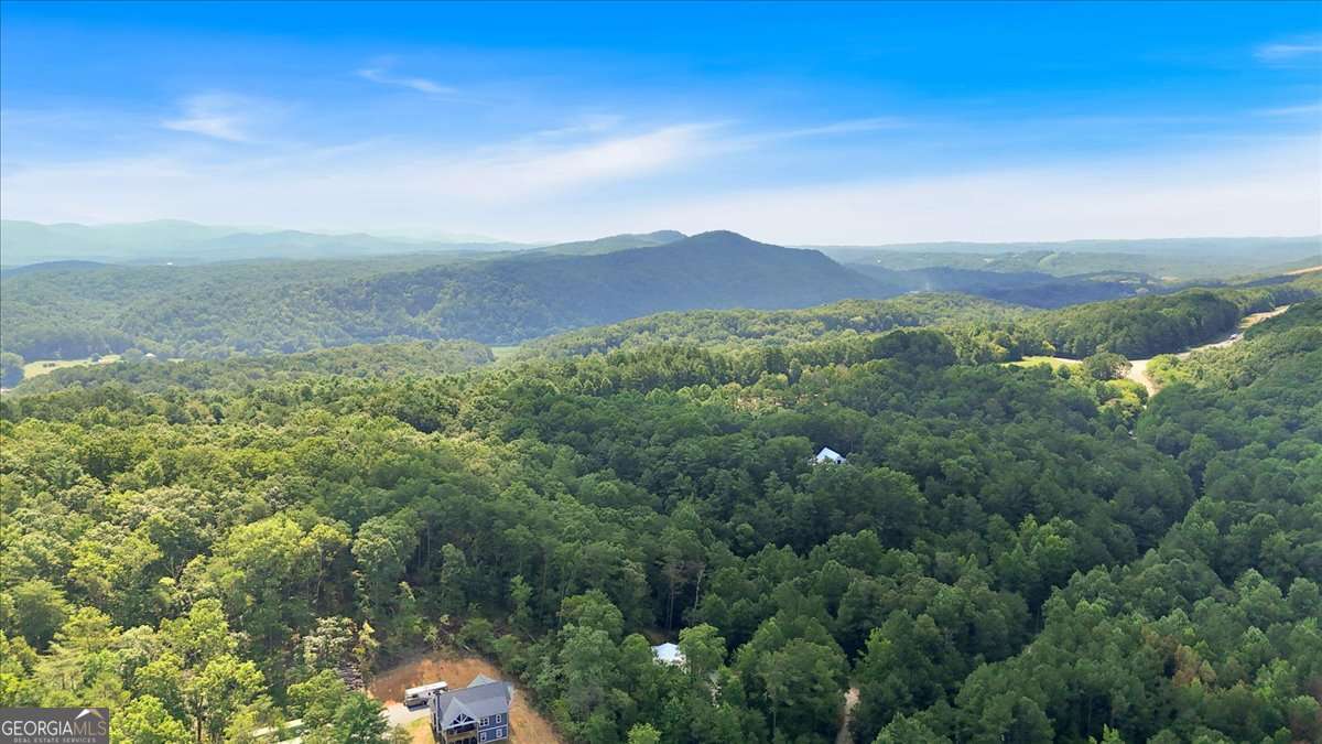 196 Whitestone Drive Talking Rock GA 30175