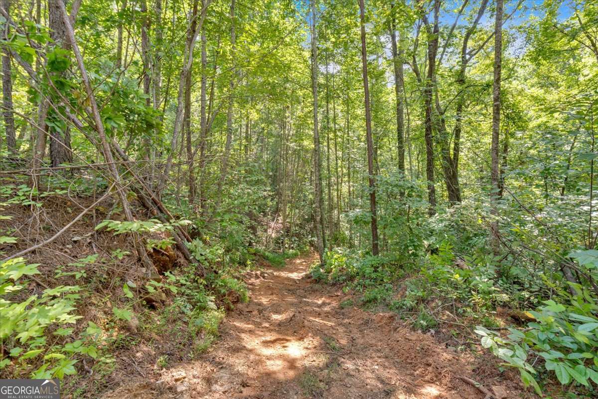 196 Whitestone Drive Talking Rock GA 30175