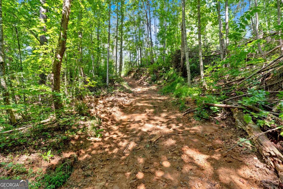 196 Whitestone Drive Talking Rock GA 30175