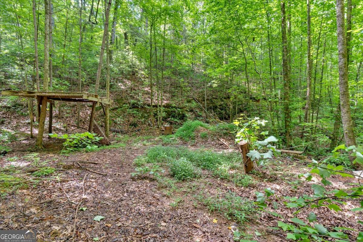 196 Whitestone Drive Talking Rock GA 30175