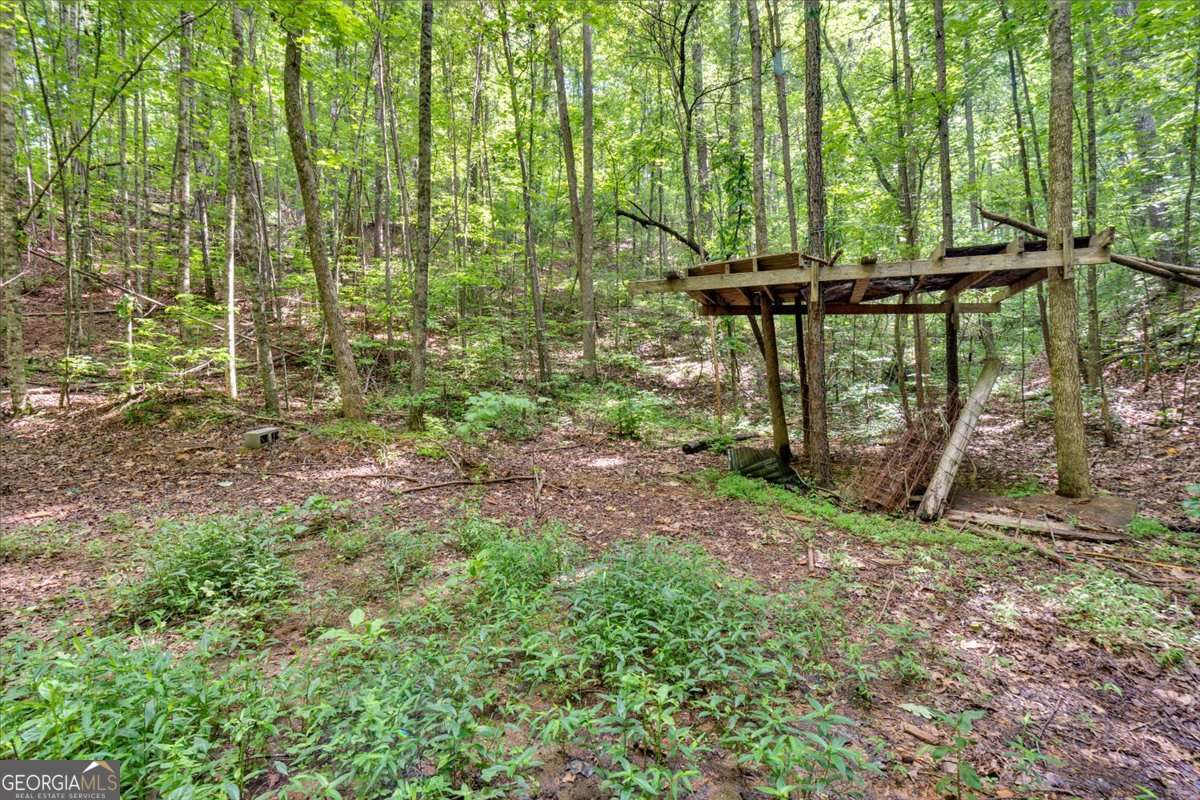 196 Whitestone Drive Talking Rock GA 30175