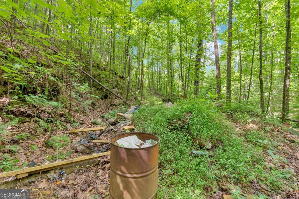 196 Whitestone Drive Talking Rock GA 30175