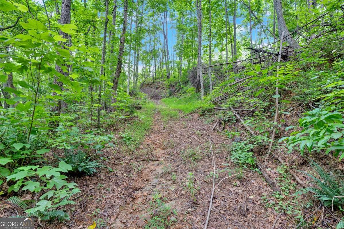 196 Whitestone Drive Talking Rock GA 30175