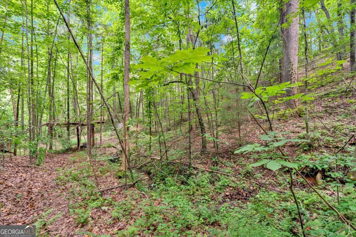 196 Whitestone Drive Talking Rock GA 30175