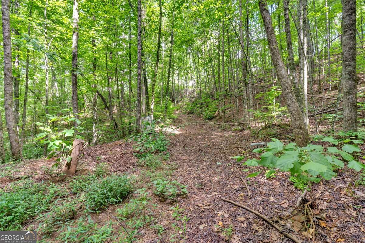 196 Whitestone Drive Talking Rock GA 30175