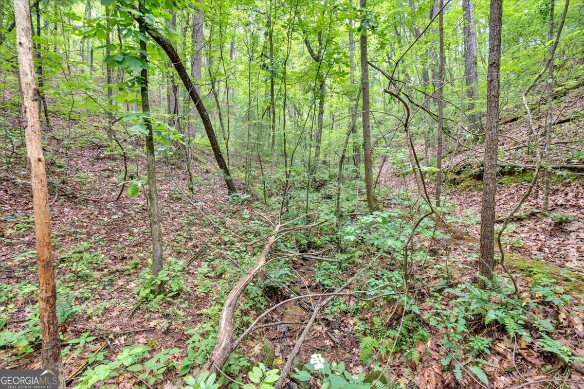 196 Whitestone Drive Talking Rock GA 30175