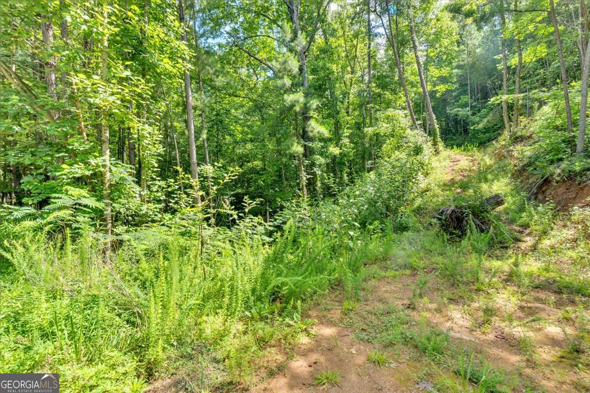 196 Whitestone Drive Talking Rock GA 30175