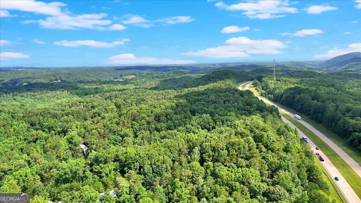 196 Whitestone Drive Talking Rock GA 30175