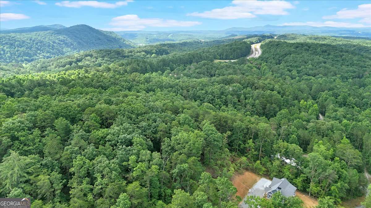 196 Whitestone Drive Talking Rock GA 30175