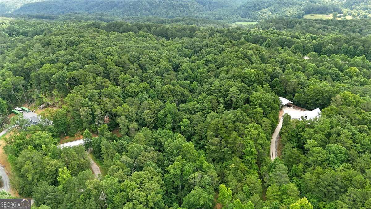 196 Whitestone Drive Talking Rock GA 30175
