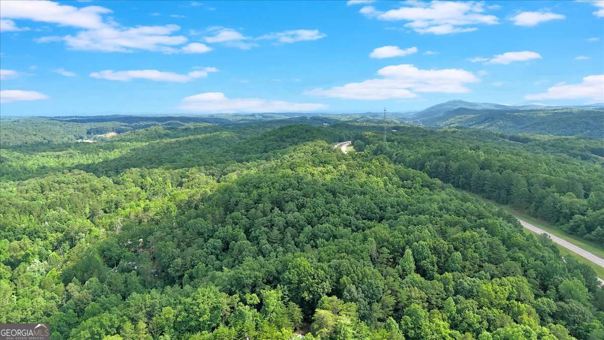 196 Whitestone Drive Talking Rock GA 30175