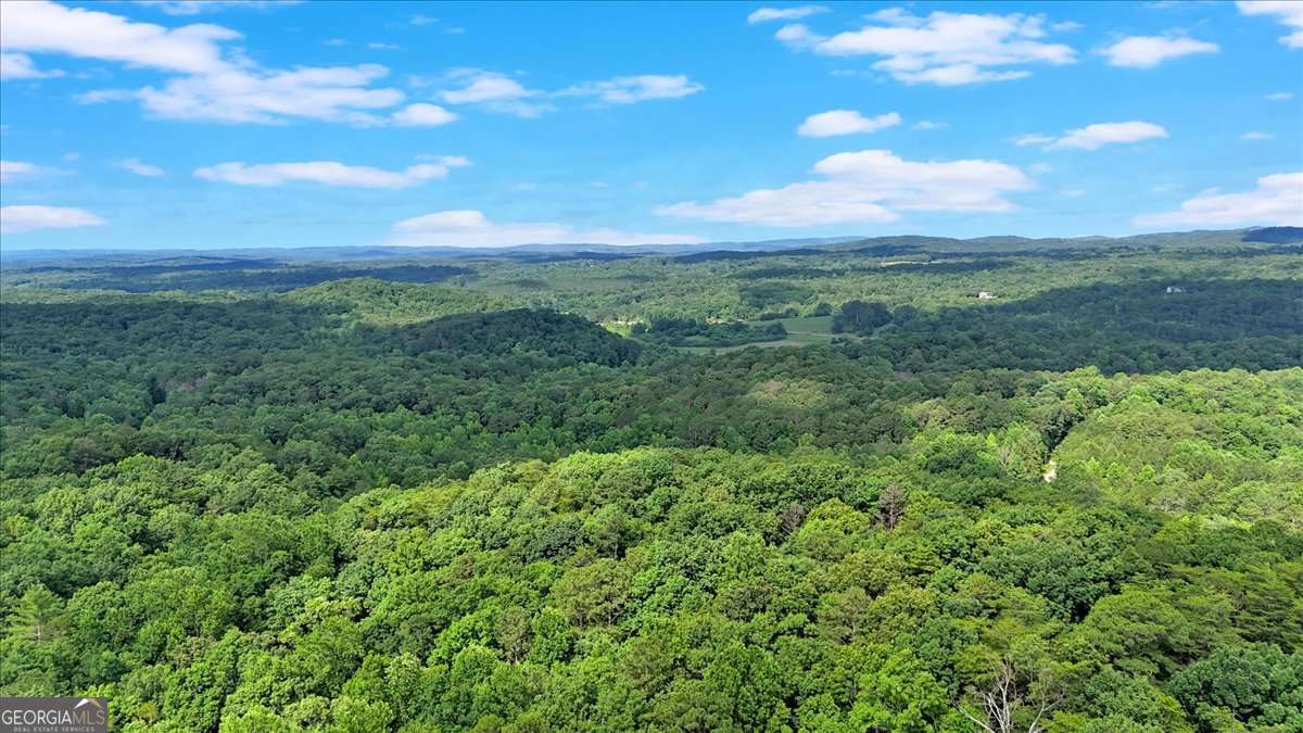 196 Whitestone Drive Talking Rock GA 30175