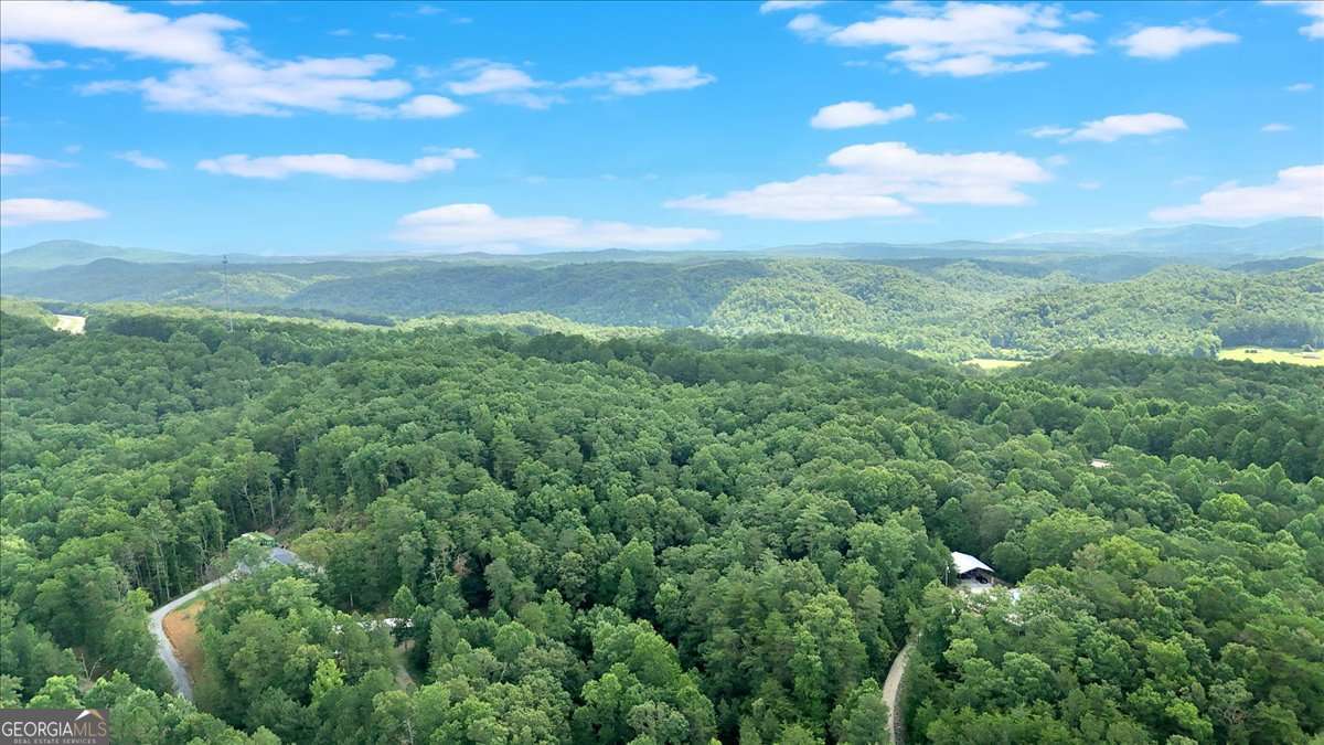 196 Whitestone Drive Talking Rock GA 30175