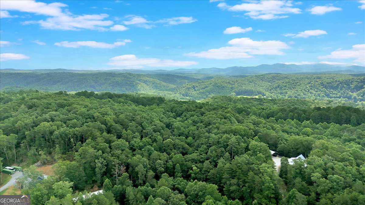 196 Whitestone Drive Talking Rock GA 30175