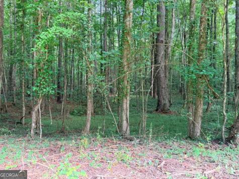 Lot 14 Pettit Road Jasper GA 30143