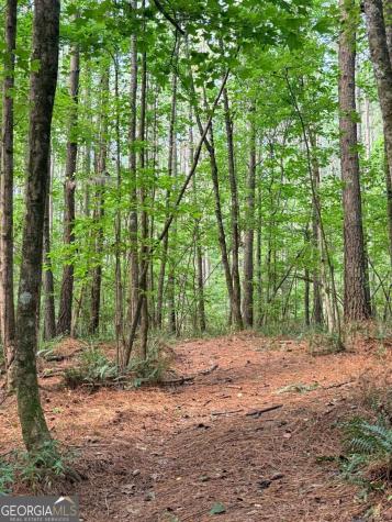 Lot 14 Pettit Road Jasper GA 30143