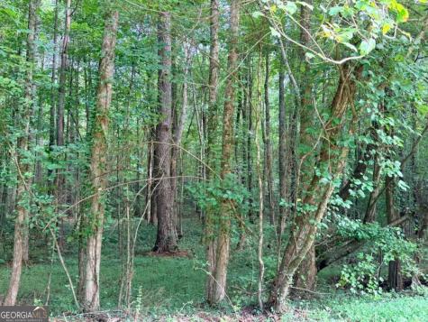 Lot 14 Pettit Road Jasper GA 30143