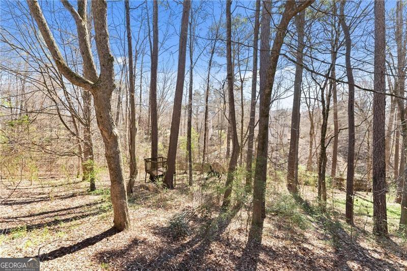 4140 River Bluf Run Way Suwanee GA 30024
