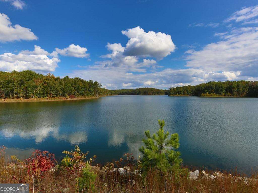 604 Little Bear Loop Canton GA 30114