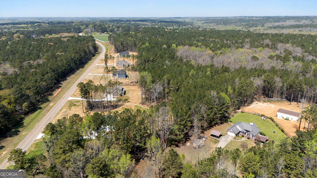 2365 New Hope Road Locust Grove GA 30248