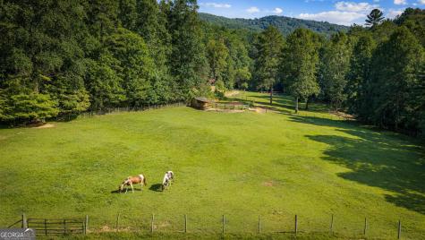 361 Forest Service Road Epworth GA 30541