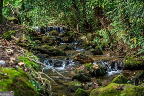 361 Forest Service Road Epworth GA 30541