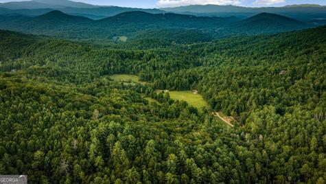 361 Forest Service Road Epworth GA 30541