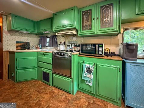 43 Canyon Pass Cleveland GA 30528