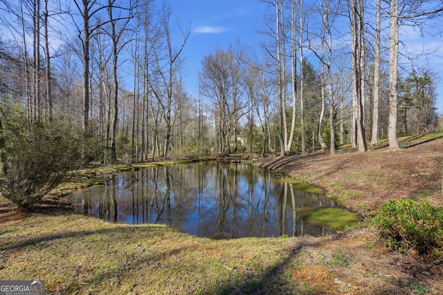 1852 Oak Grove Road Dahlonega GA 30533