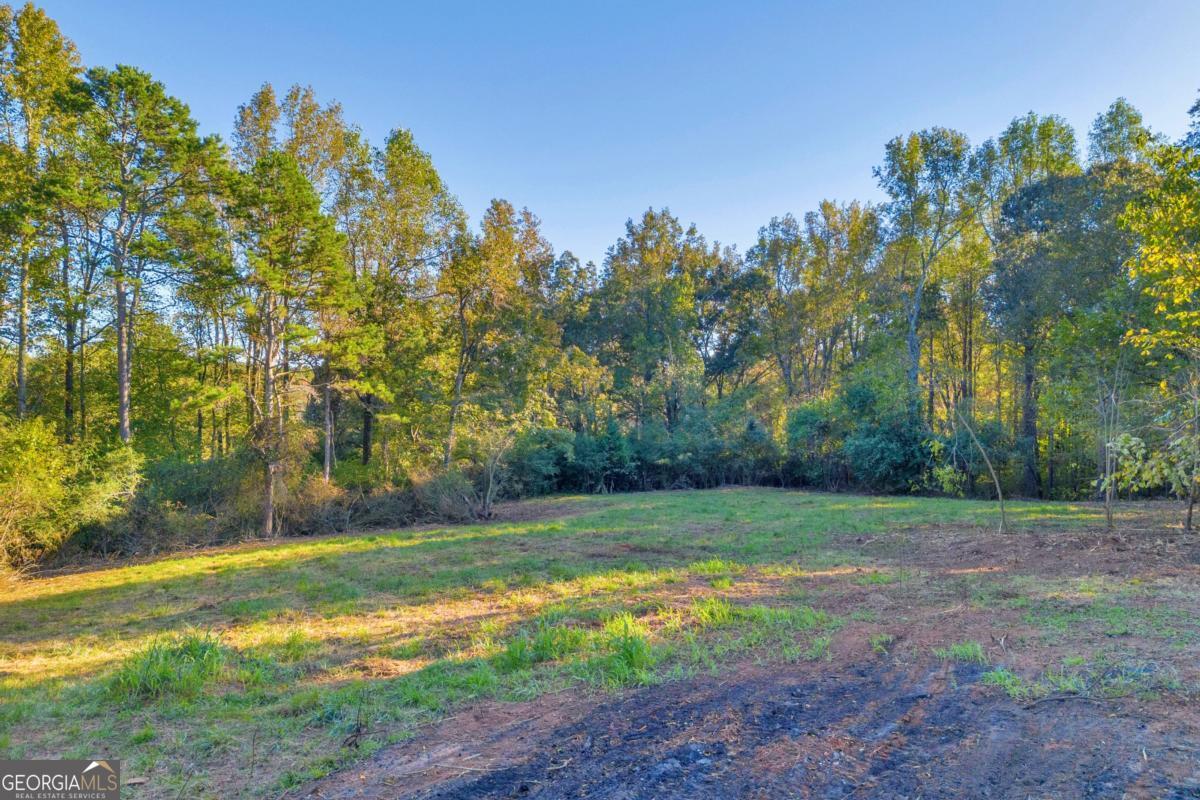 4638 Highway 63 Carnesville GA 30521