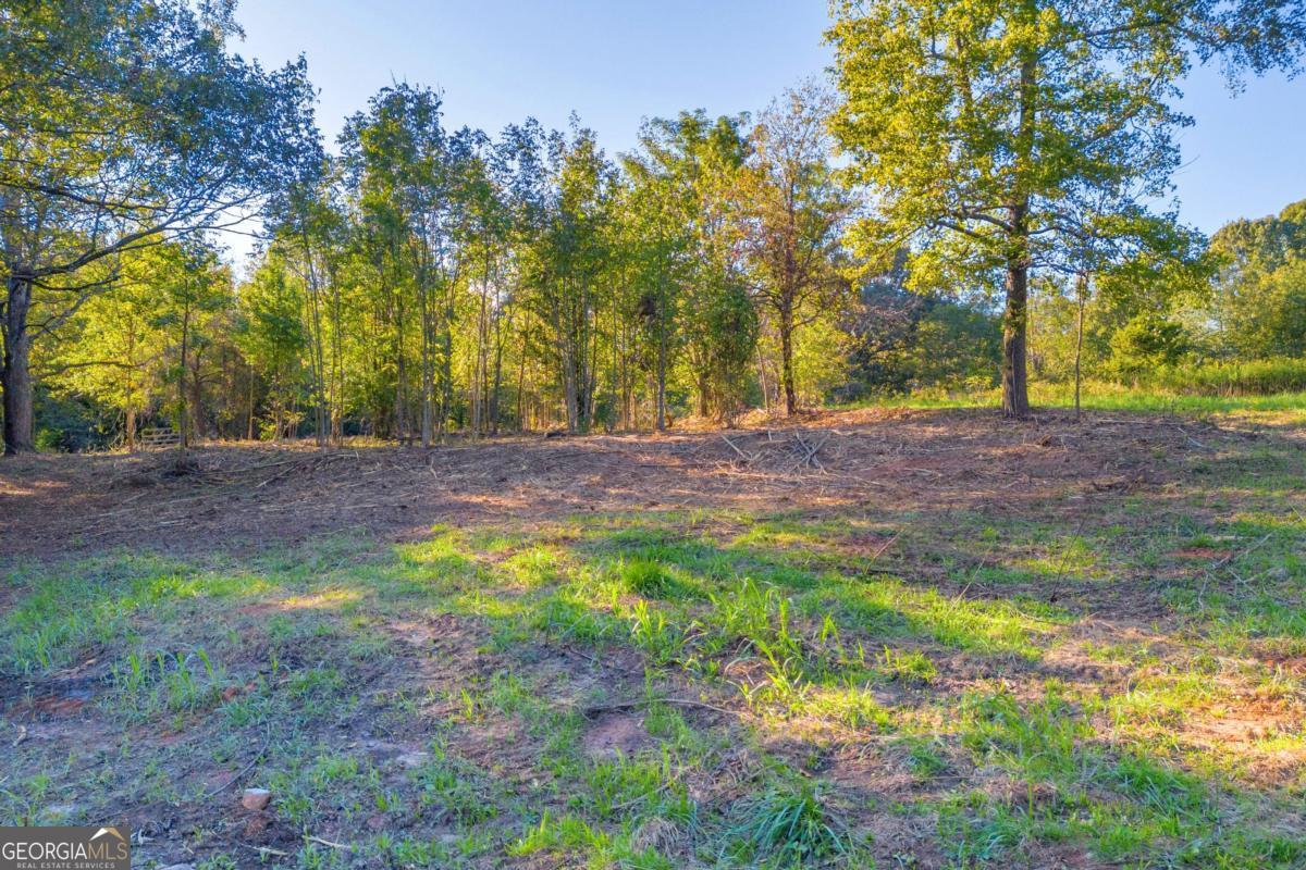 4638 Highway 63 Carnesville GA 30521