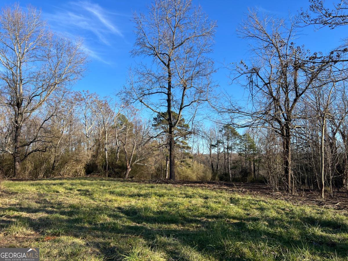 4638 Highway 63 Carnesville GA 30521