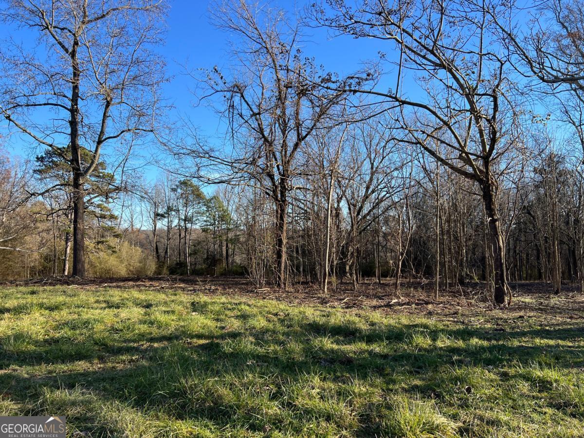 4638 Highway 63 Carnesville GA 30521